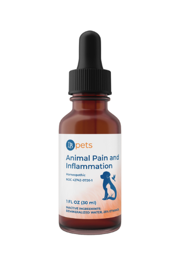 Animal Pain and Inflammation by DesBio