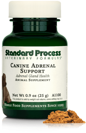 Canine Adrenal Support, 25 g