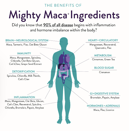 Mighty Maca Drink Mix by Dr. Anna Cabeca