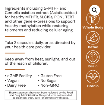 MethylGenic (capsules) by Alimentum Labs (Systemic Formulas)