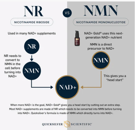 NAD+ Gold by Quicksilver Scientific