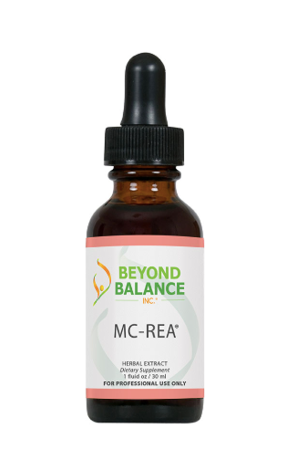 MC-REA by Beyond Balance