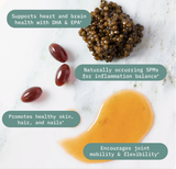 Resolvin (formerly Fish Oil) by BodyBio