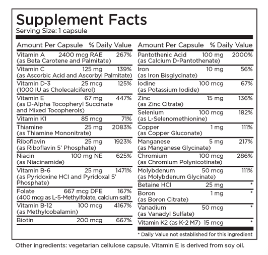 The Big One with Iron 90 Capsules by Metabolic Maintenance
