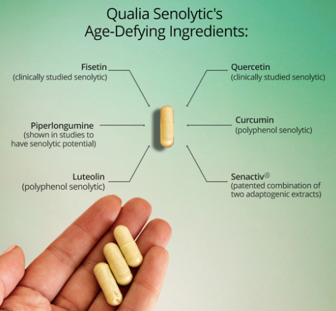 Qualia Senolytic 12 Capsules by Qualia Life Sciences