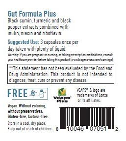 Gut Formula Plus by Biogena