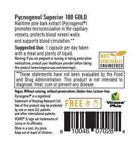 Pycnogenol Superior 100 GOLD by Biogena