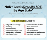 Pure NMN 60 capsules by DoNotAge