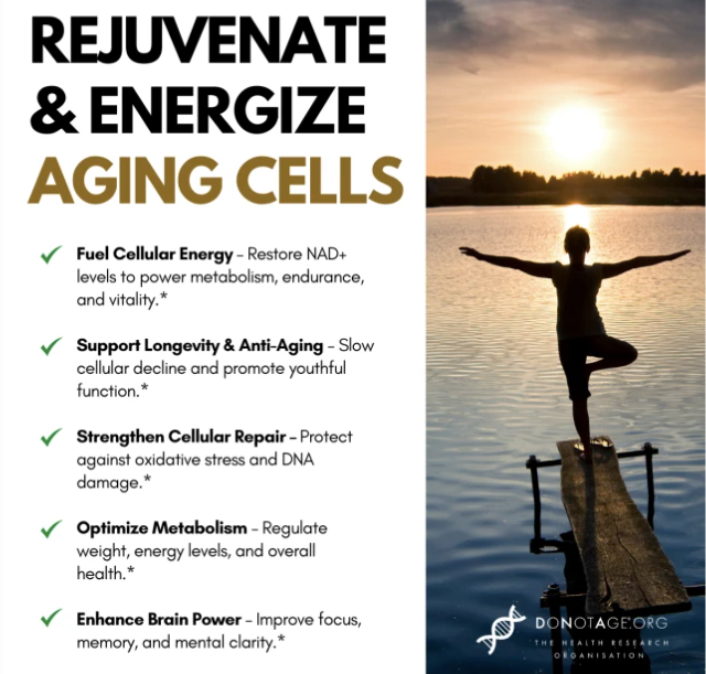 Pure NMN 60 capsules by DoNotAge