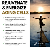 Pure NMN 60 capsules by DoNotAge