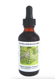Scutellaria Baicalensis Tincture by Supreme Nutrition