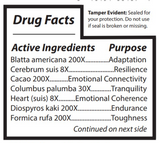 Quantum Harmony by DesBio