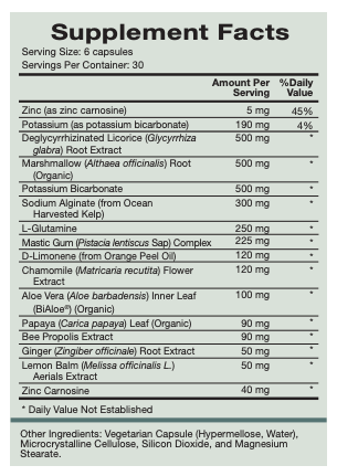 Digest Mend by Natura Health Products