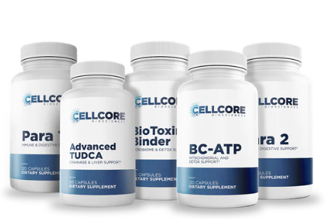 Phase 2: Gut and Immune Support by CellCore