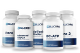 Phase 2: Gut and Immune Support by CellCore