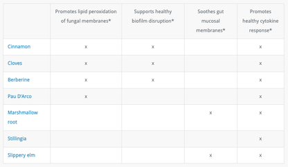 Elim-A-Cand by Researched Nutritionals