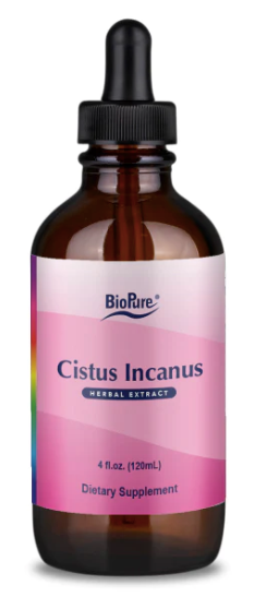 Cistus Incanus by BioPure