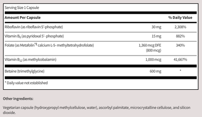 Methyl Balance by SFI Health (formerly Klaire Labs)