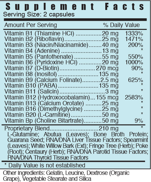 B16-Vitamin B Stress Complex by Systemic Formulas