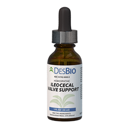 Ileocecal Valve Support by Des Bio